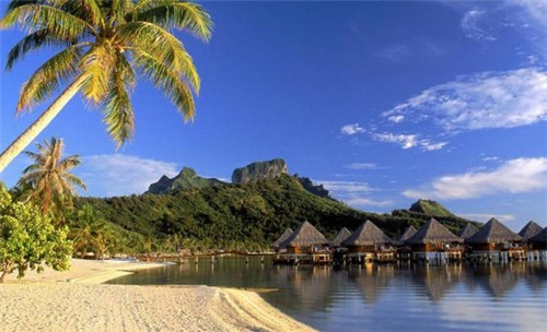 黄氏正轩牛奶甜品专家