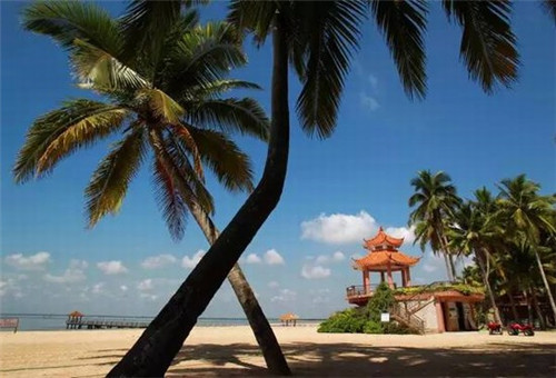 瑞卡易汽车美容