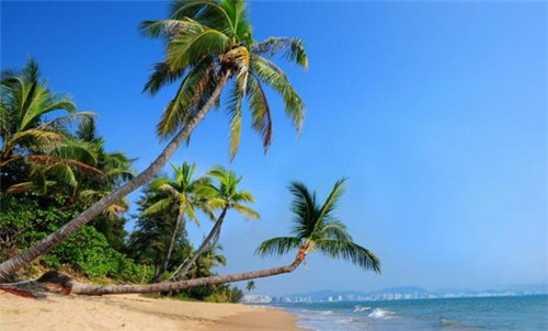 南康市开店创业2025北欧复古灯加盟店哪家项目还能做