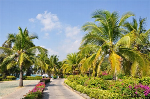 神奇宝贝十大打斗忍者（神奇宝贝十大打斗忍者图片）