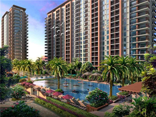 打篮球十大秘诀是什么呢（有哪些打篮球必备的技巧）