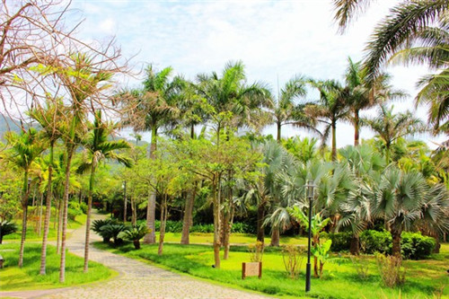 下笔成文的反义词（下笔就能成文的成语）